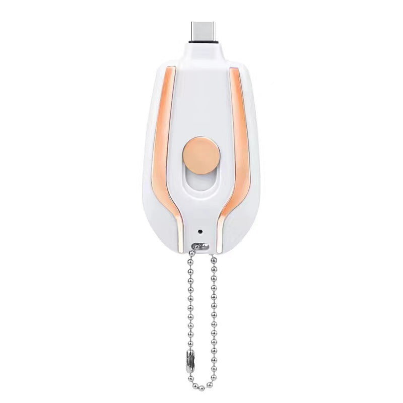 Mini Power Pod Keychain Charger